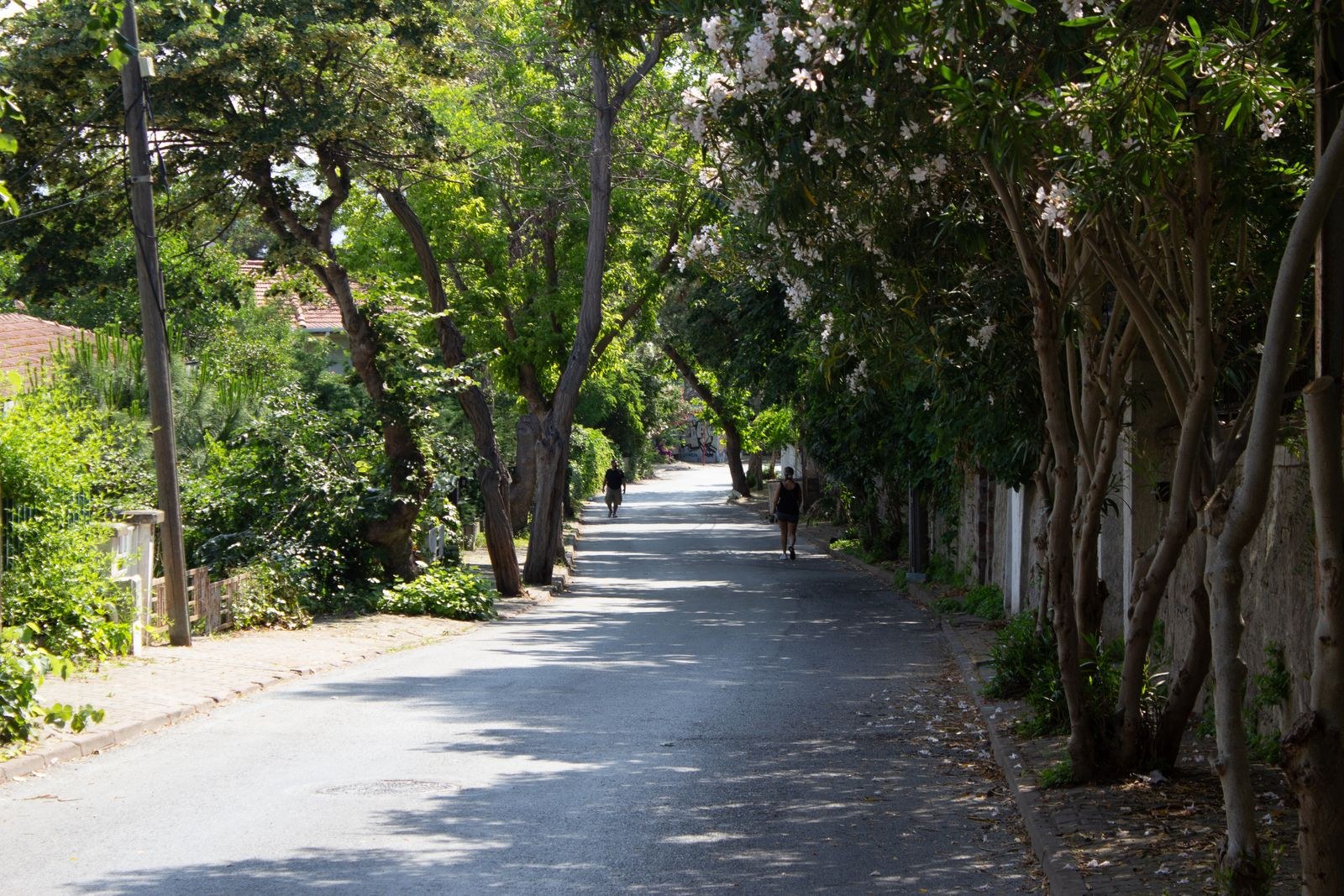 A shaded neighbourhood promenade