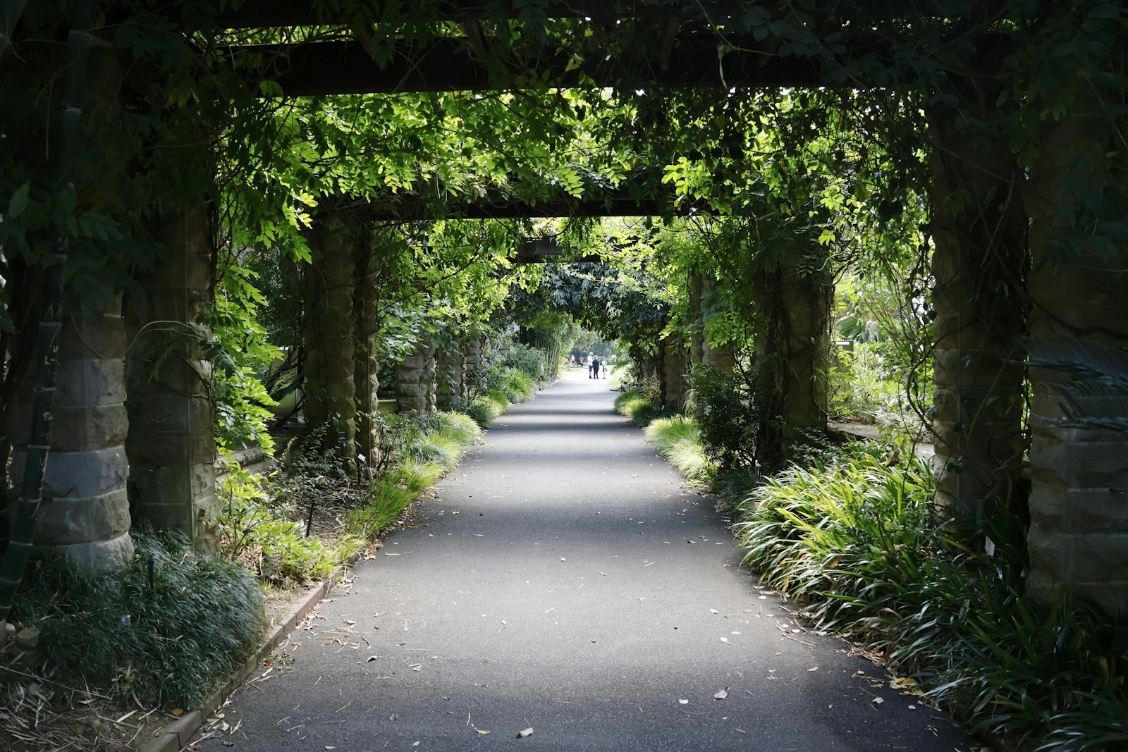 A continuous green route